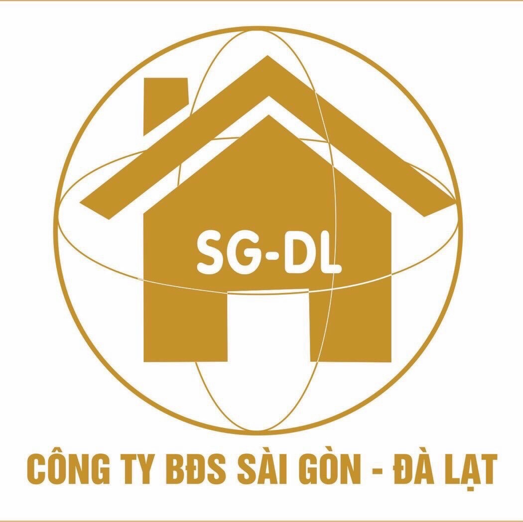 lĩnh vực hoạt động